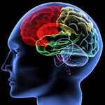 آیا روان‌درمانی روی مغز تأثیر می‌گذارد؟