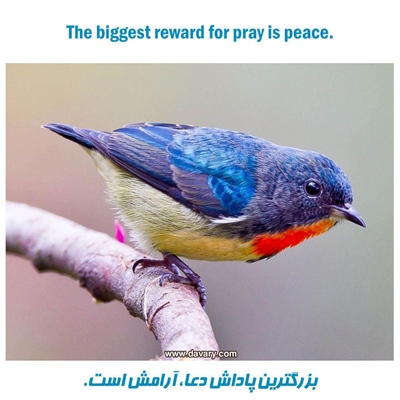 بزرگترین پاداش دعا آرامش است.