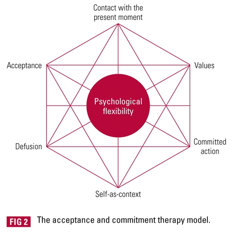 شش فرایند اصلی در ACT: مدل انعطاف پذیری روانشناختی